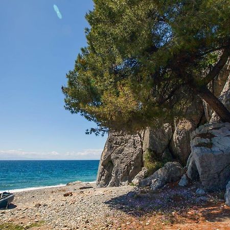 Comfortable Apartment Near The Central Beach Nea Skioni Exteriér fotografie